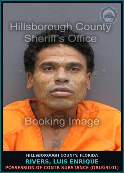 CCW arrest card for RIVERS, LUIS ENRIQUE in Hillsborough County: POSSESSION OF contr substance (DRUG9101)