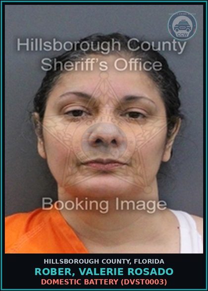 CCW arrest card for ROBER, VALERIE ROSADO in Hillsborough County: DOMESTIC BATTERY (DVST0003)