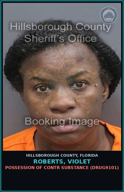 CCW arrest card for ROBERTS, VIOLET in Hillsborough County: PETIT THEFT FIRST DEGREE ($100 OR MORE, BUT LESS THAN $750) (THEF1013)