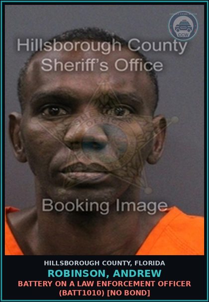 CCW arrest card for ROBINSON, ANDREW in Hillsborough County: BATTERY ON A LAW ENFORCEMENT OFFICER (BATT1010) [NO BOND]