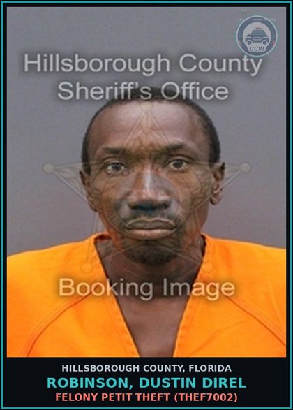 CCW arrest card for ROBINSON, DUSTIN DIREL in Hillsborough County: FELONY PETIT THEFT (THEF7002)