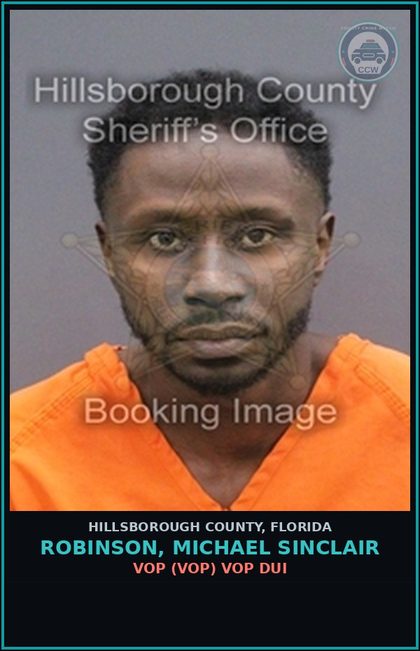 CCW arrest card for ROBINSON, MICHAEL SINCLAIR in Hillsborough County: VOP (VOP) VOP DUI