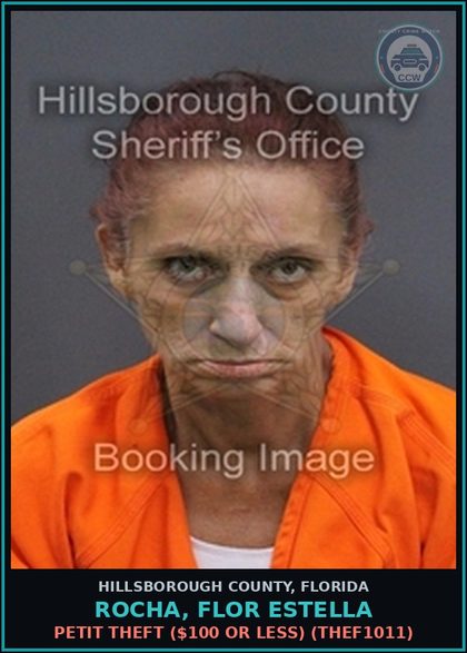 CCW arrest card for ROCHA, FLOR ESTELLA in Hillsborough County: PETIT THEFT ($100 OR LESS) (THEF1011)