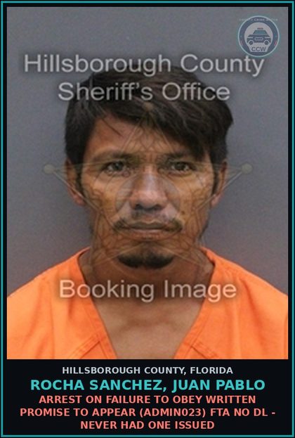 CCW arrest card for ROCHA SANCHEZ, JUAN PABLO in Hillsborough County: ARREST ON FAILURE TO OBEY WRITTEN PROMISE TO APPEAR (ADMIN023) FTA NO DL - NEVER HAD ONE ISSUED