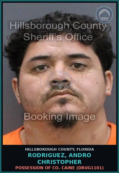 CCW arrest card for RODRIGUEZ, ANDRO CHRISTOPHER in Hillsborough County: PETIT THEFT FIRST DEGREE ($100 OR MORE, BUT LESS THAN $750) (THEF1013)