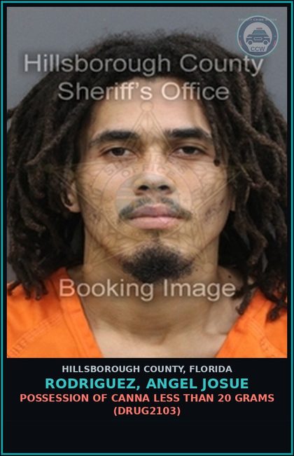 CCW arrest card for RODRIGUEZ, ANGEL JOSUE in Hillsborough County: POSSESSION OF Canna LESS THAN 20 GRAMS (DRUG2103)