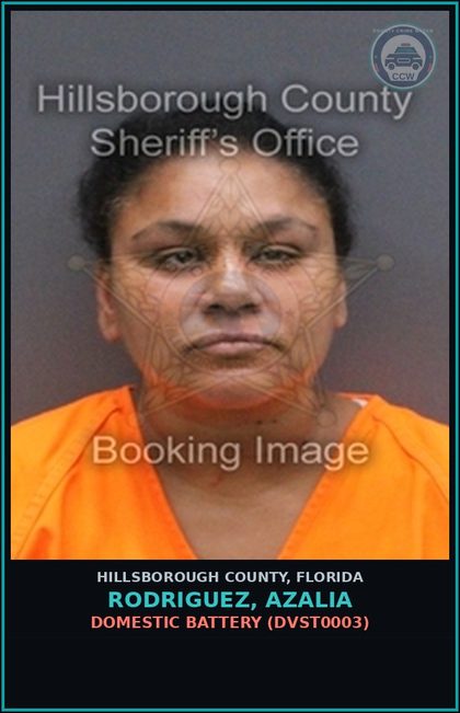 CCW arrest card for RODRIGUEZ, AZALIA in Hillsborough County: DOMESTIC BATTERY (DVST0003)