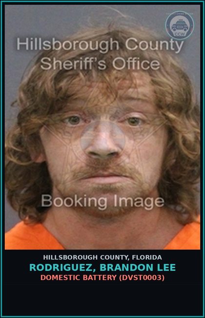 CCW arrest card for RODRIGUEZ, BRANDON LEE in Hillsborough County: DOMESTIC BATTERY (DVST0003)