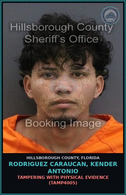 CCW arrest card for RODRIGUEZ CARAUCAN, KENDER ANTONIO in Hillsborough County: TAMPERING WITH PHYSICAL EVIDENCE (TAMP4005)