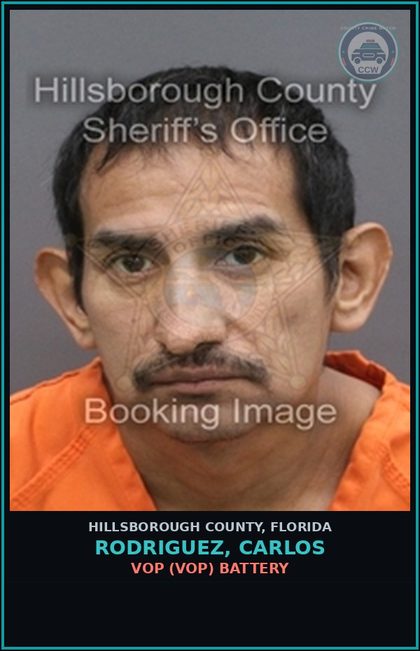 CCW arrest card for RODRIGUEZ, CARLOS in Hillsborough County: VOP (VOP) BATTERY