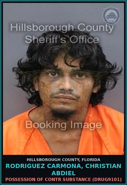 CCW arrest card for RODRIGUEZ CARMONA, CHRISTIAN ABDIEL in Hillsborough County: POSSESSION OF contr substance (DRUG9101)