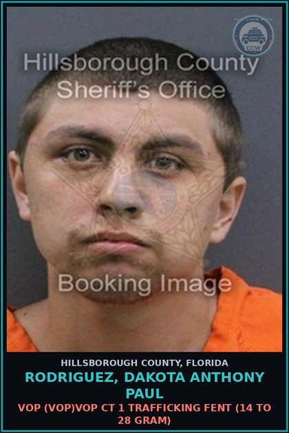 CCW arrest card for RODRIGUEZ, DAKOTA ANTHONY PAUL in Hillsborough County: VOP (VOP)VOP CT 1 TRAFFICKING Fent (14 TO 28 GRAM)