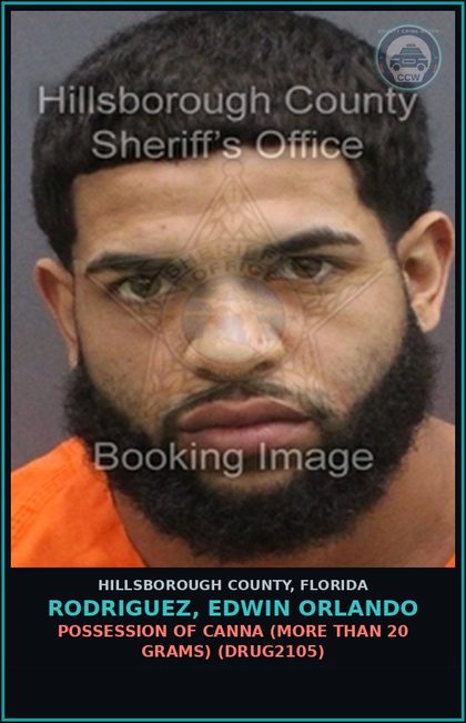 CCW arrest card for RODRIGUEZ, EDWIN ORLANDO in Hillsborough County: RESISTING OFFICER WITHOUT VIOLENCE (COPS1001)