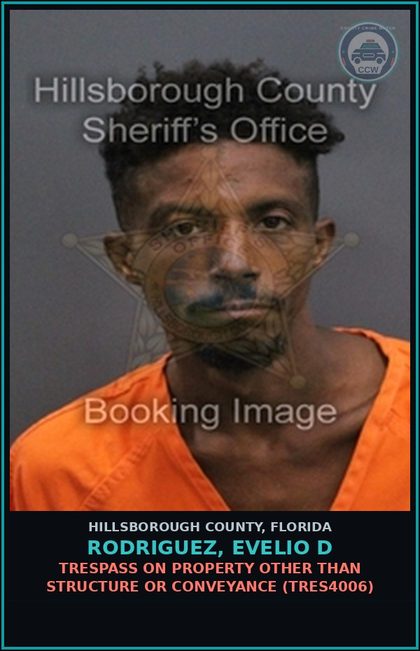 CCW arrest card for RODRIGUEZ, EVELIO D in Hillsborough County: TRESPASS ON PROPERTY OTHER THAN STRUCTURE OR CONVEYANCE (TRES4006)