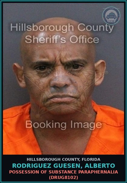 CCW arrest card for RODRIGUEZ GUESEN, ALBERTO in Hillsborough County: RESISTING OFFICER WITHOUT VIOLENCE (COPS1001)