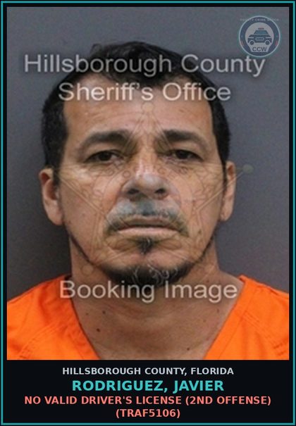 CCW arrest card for RODRIGUEZ, JAVIER in Hillsborough County: NO VALID DRIVER'S LICENSE (2ND OFFENSE) (TRAF5106)