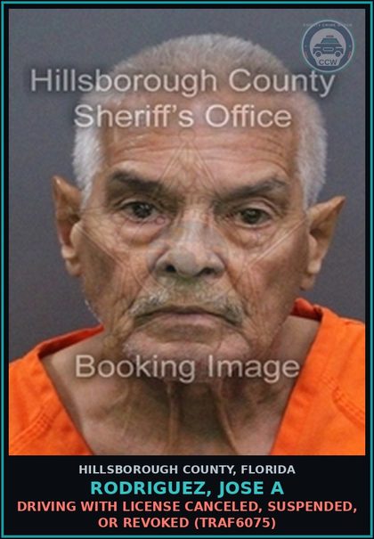 CCW arrest card for RODRIGUEZ, JOSE A in Hillsborough County: DRIVING WITH LICENSE CANCELED, SUSPENDED, OR REVOKED (TRAF6075)