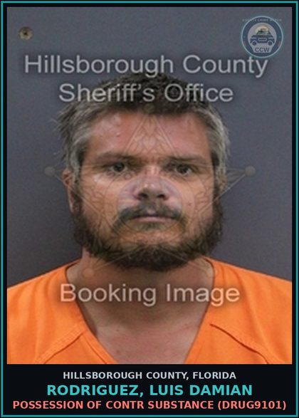 CCW arrest card for RODRIGUEZ, LUIS DAMIAN in Hillsborough County: POSSESSION OF contr substance (DRUG9101)