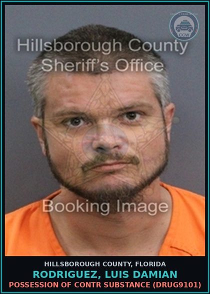 CCW arrest card for RODRIGUEZ, LUIS DAMIAN in Hillsborough County: POSSESSION OF contr substance (DRUG9101)