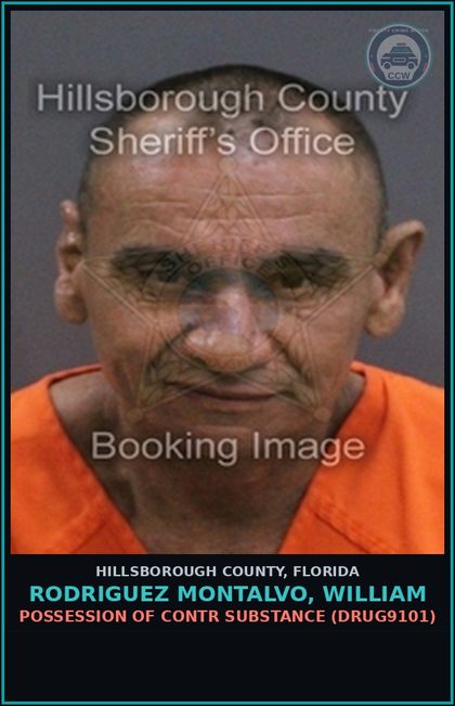CCW arrest card for RODRIGUEZ MONTALVO, WILLIAM in Hillsborough County: POSSESSION OF contr substance (DRUG9101)
