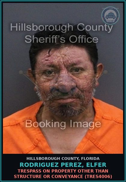 CCW arrest card for RODRIGUEZ PEREZ, ELFER in Hillsborough County: FALSE IDENTIFICATION CARD (TRAF6136)