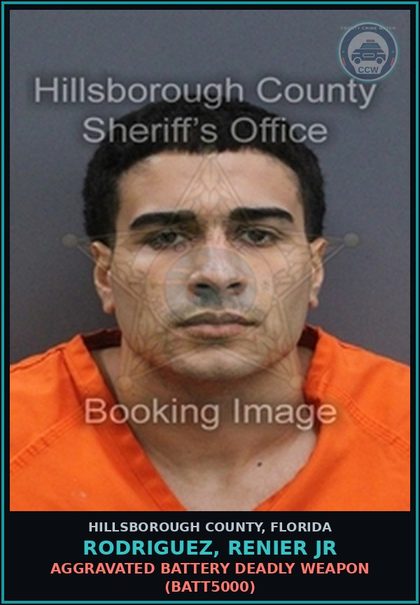 CCW arrest card for RODRIGUEZ, RENIER JR in Hillsborough County: AGGRAVATED BATTERY DEADLY WEAPON (BATT5000)