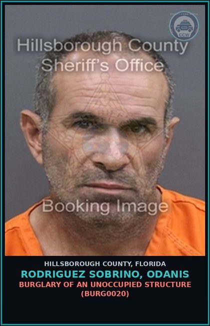 CCW arrest card for RODRIGUEZ SOBRINO, ODANIS in Hillsborough County: PETIT THEFT FIRST DEGREE ($100 OR MORE, BUT LESS THAN $750) (THEF1013)