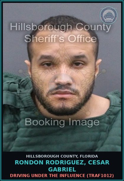 CCW arrest card for RONDON RODRIGUEZ, CESAR GABRIEL in Hillsborough County: DRIVING UNDER THE INFLUENCE (TRAF1012)