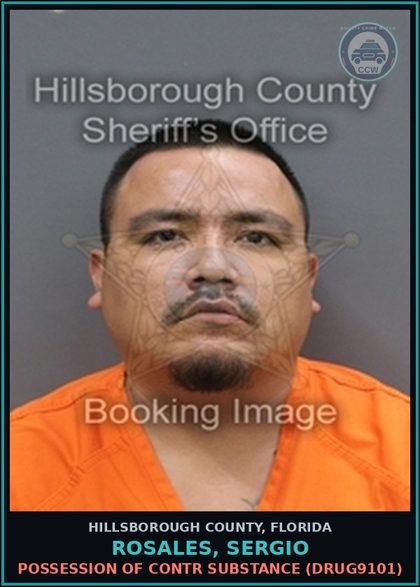 CCW arrest card for ROSALES, SERGIO in Hillsborough County: POSSESSION OF contr substance (DRUG9101)