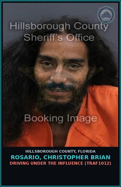CCW arrest card for ROSARIO, CHRISTOPHER BRIAN in Hillsborough County: DRIVING UNDER THE INFLUENCE (TRAF1012)
