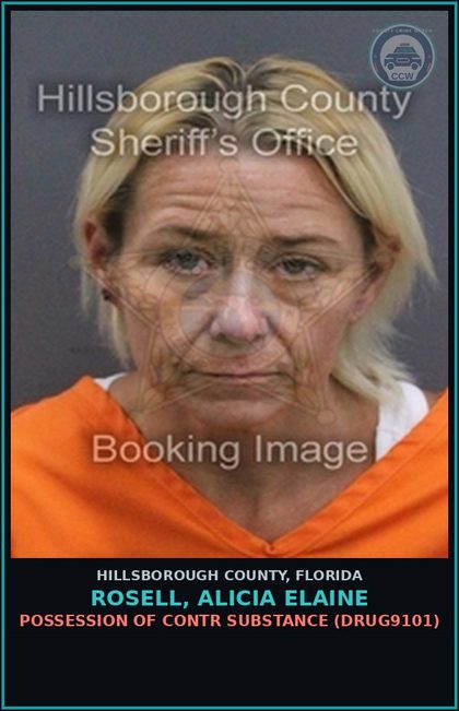 CCW arrest card for ROSELL, ALICIA ELAINE in Hillsborough County: POSSESSION OF contr substance (DRUG9101)