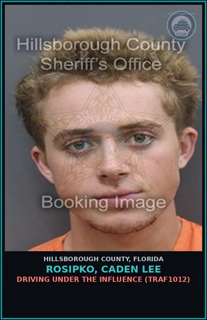 CCW arrest card for ROSIPKO, CADEN LEE in Hillsborough County: DRIVING UNDER THE INFLUENCE (TRAF1012)