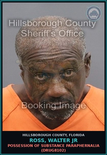 CCW arrest card for ROSS, WALTER JR in Hillsborough County: POSSESSION OF DRUG PARAPHERNALIA (DRUG8102)