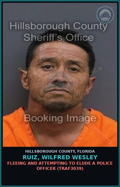 CCW arrest card for RUIZ, WILFRED WESLEY in Hillsborough County: FLEEING AND ATTEMPTING TO ELUDE A POLICE OFFICER (TRAF3039)