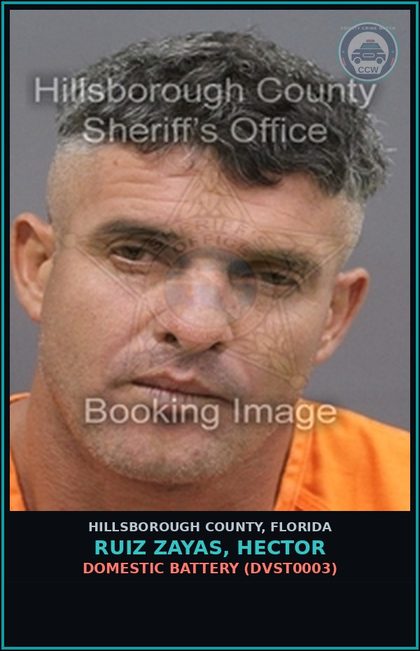 CCW arrest card for RUIZ ZAYAS, HECTOR in Hillsborough County: DOMESTIC BATTERY (DVST0003)