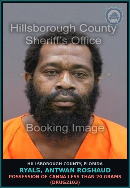 CCW arrest card for RYALS, ANTWAN ROSHAUD in Hillsborough County: POSSESSION OF Canna LESS THAN 20 GRAMS (DRUG2103)