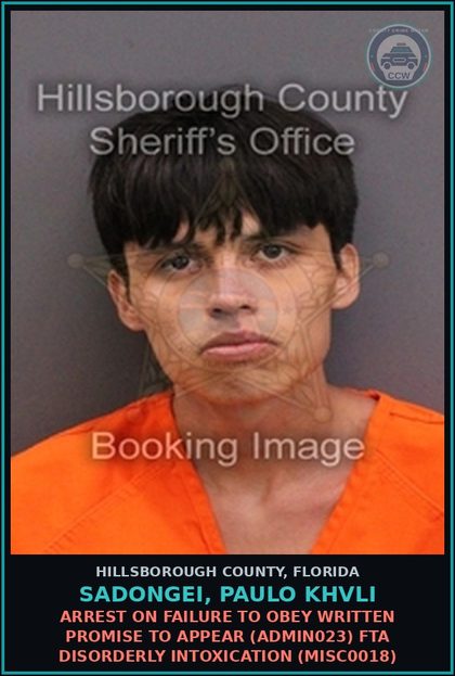 CCW arrest card for SADONGEI, PAULO KHVLI in Hillsborough County: ARREST ON FAILURE TO OBEY WRITTEN PROMISE TO APPEAR (ADMIN023) FTA DISORDERLY INTOXICATION (MISC0018)