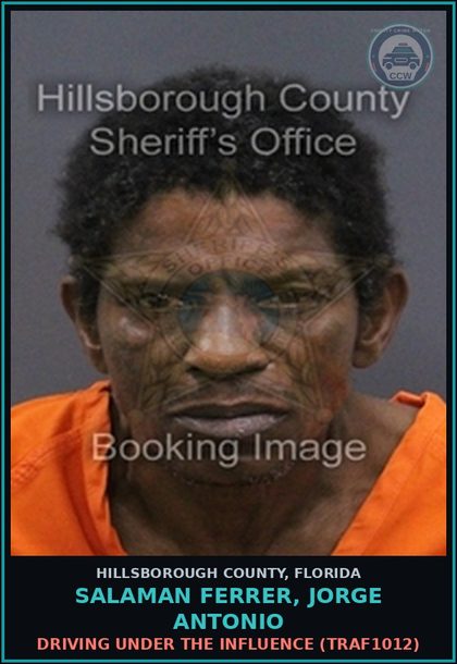 CCW arrest card for SALAMAN FERRER, JORGE ANTONIO in Hillsborough County: DRIVING UNDER THE INFLUENCE (TRAF1012)
