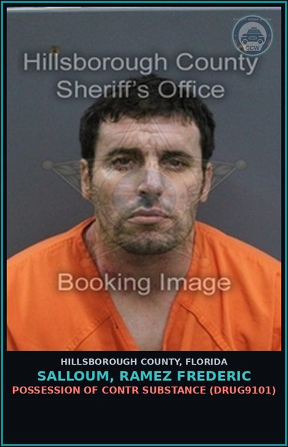CCW arrest card for SALLOUM, RAMEZ FREDERIC in Hillsborough County: RESISTING OFFICER WITHOUT VIOLENCE (COPS1001)