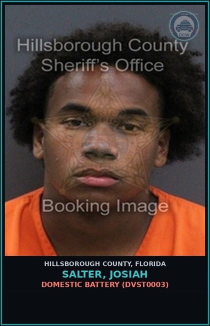 CCW arrest card for SALTER, JOSIAH in Hillsborough County: DOMESTIC BATTERY (DVST0003)