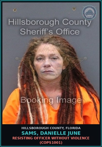 CCW arrest card for SAMS, DANIELLE JUNE in Hillsborough County: RESISTING OFFICER WITHOUT VIOLENCE (COPS1001)