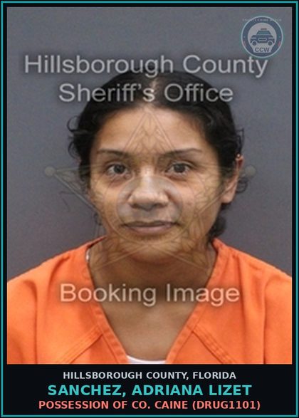 CCW arrest card for SANCHEZ, ADRIANA LIZET in Hillsborough County: POSSESSION OF COCAINE (DRUG1101)