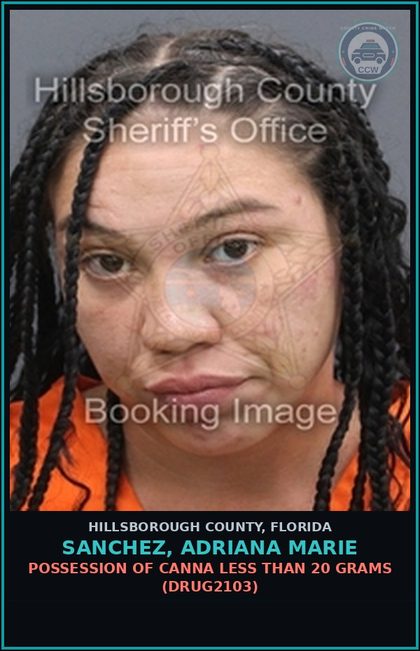 CCW arrest card for SANCHEZ, ADRIANA MARIE in Hillsborough County: POSSESSION OF Canna LESS THAN 20 GRAMS (DRUG2103)