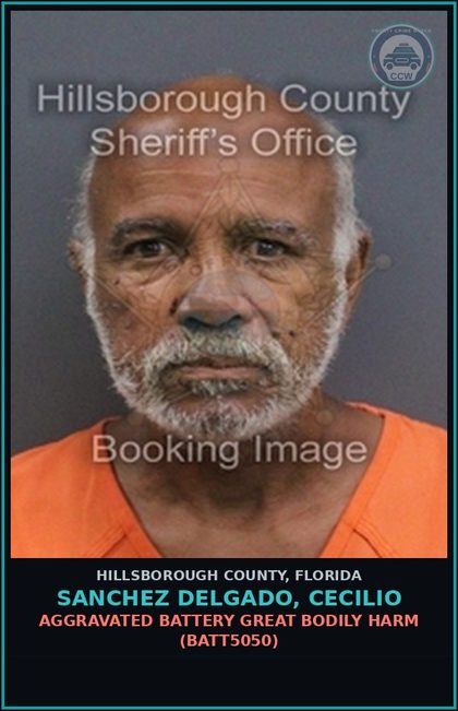 CCW arrest card for SANCHEZ DELGADO, CECILIO in Hillsborough County: AGGRAVATED BATTERY GREAT BODILY HARM (BATT5050)