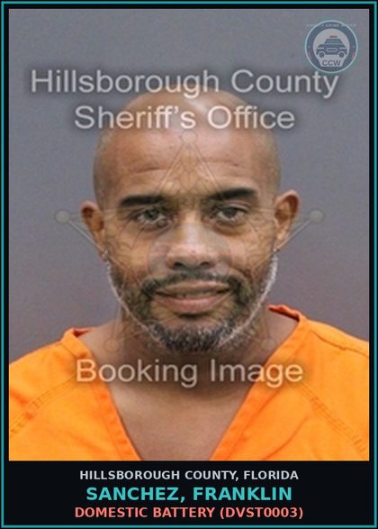 CCW arrest card for SANCHEZ, FRANKLIN in Hillsborough County: DOMESTIC BATTERY (DVST0003)
