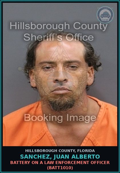 CCW arrest card for SANCHEZ, JUAN ALBERTO in Hillsborough County: RESISTING OFFICER WITH VIOLENCE (COPS2005)