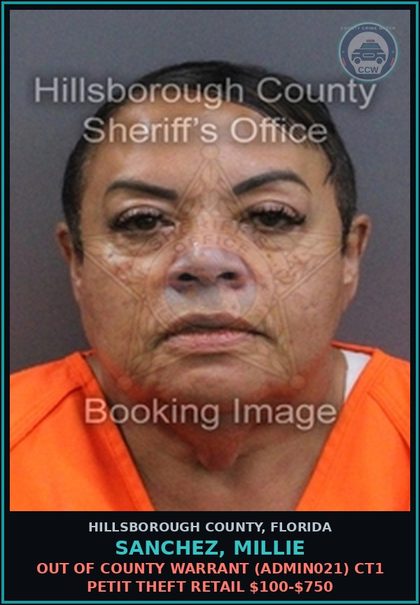 CCW arrest card for SANCHEZ, MILLIE in Hillsborough County: OUT OF COUNTY WARRANT (ADMIN021) CT1 PETIT THEFT RETAIL $100-$750