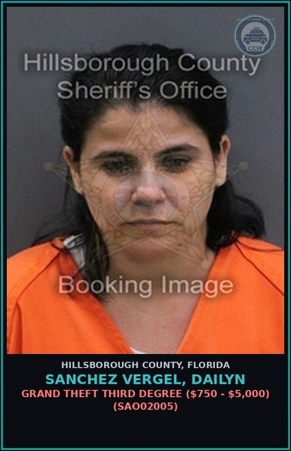 CCW arrest card for SANCHEZ VERGEL, DAILYN in Hillsborough County: GRAND THEFT THIRD DEGREE ($750 - $5,000) (SAO02005)