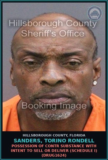 CCW arrest card for SANDERS, TORINO RONDELL in Hillsborough County: POSSESSION OF contr substance WITH INTENT TO SELL OR DELIVER (SCHEDULE I) (DRUG1624)