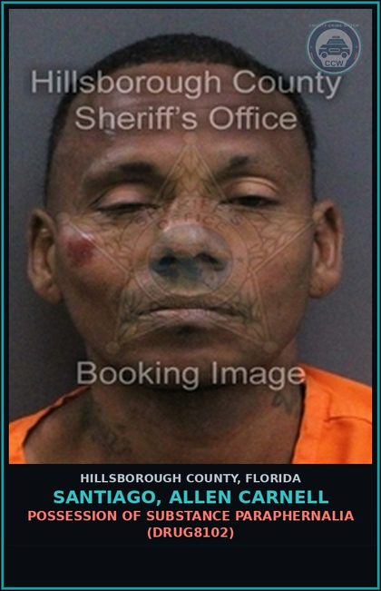 CCW arrest card for SANTIAGO, ALLEN CARNELL in Hillsborough County: RESISTING OFFICER WITHOUT VIOLENCE (COPS1001)